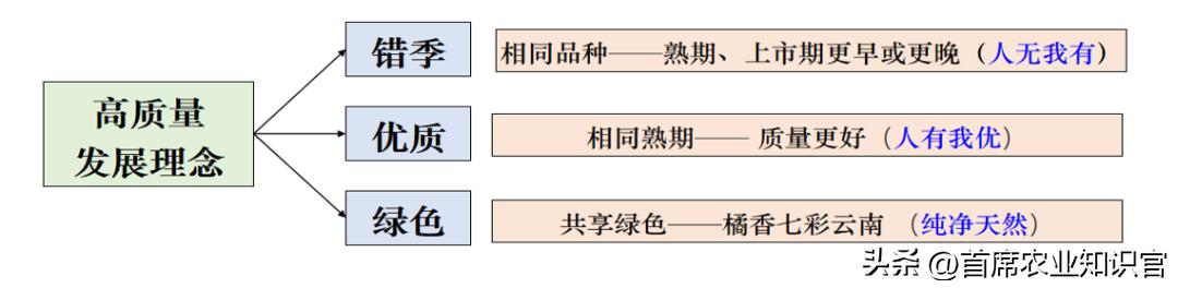 柑橘錯季新品種介紹_種植紅薯能夠套種些什么到達(dá)增收