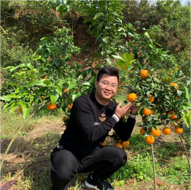 四川柑橘種植產(chǎn)區(qū)地圖圖片_現(xiàn)有120畝柑橘園要流轉(zhuǎn)